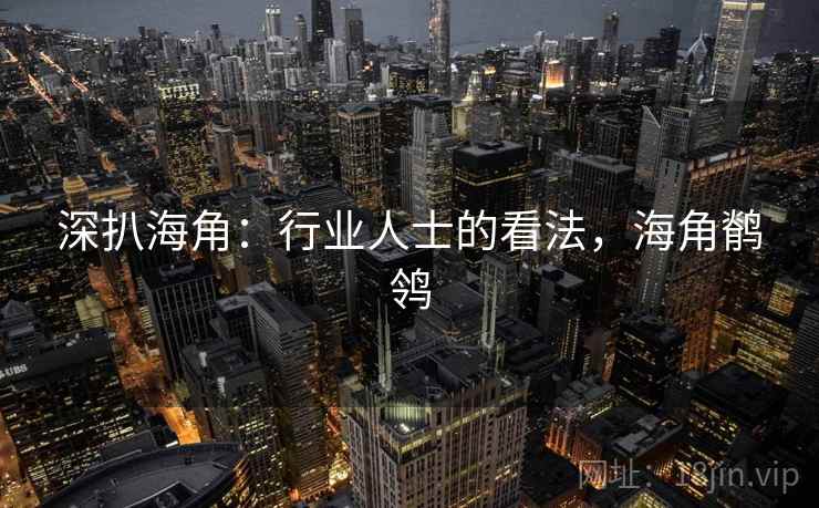 深扒海角：行业人士的看法，海角鹡鸰  第1张