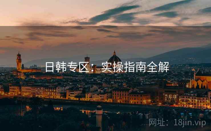 日韩专区：实操指南全解  第1张