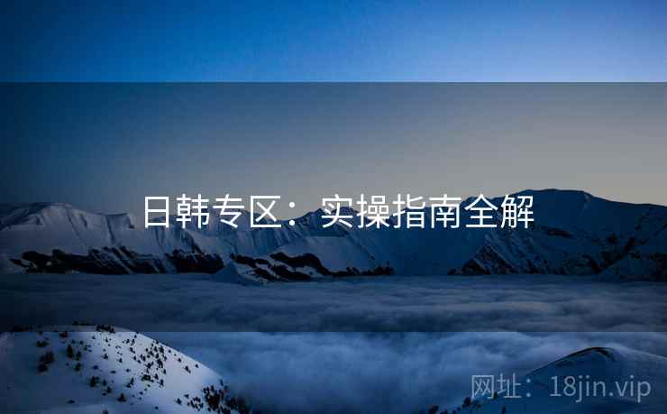 日韩专区：实操指南全解  第2张