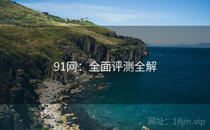 91网：全面评测全解  第2张
