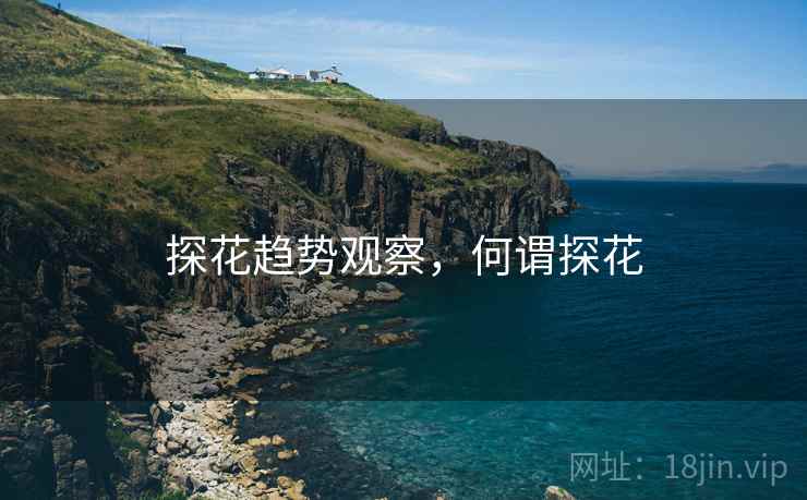 探花趋势观察，何谓探花  第1张