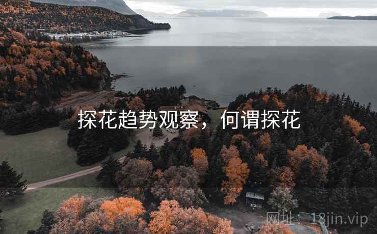 探花趋势观察，何谓探花  第2张