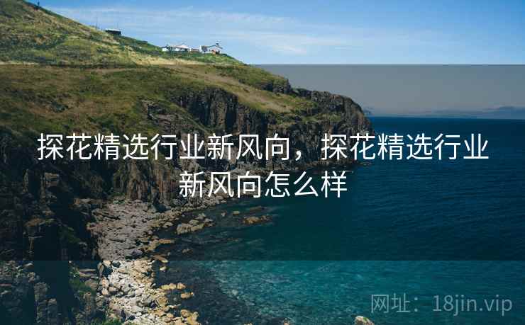 探花精选行业新风向，探花精选行业新风向怎么样